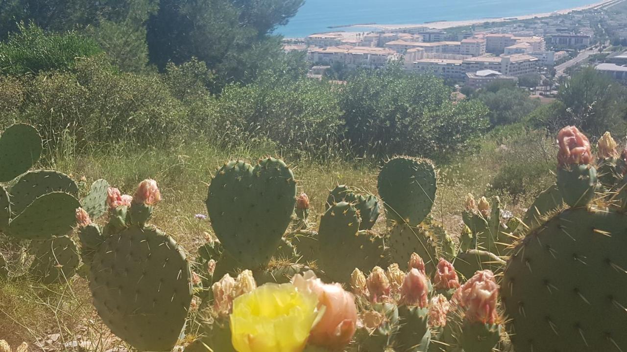Appartamento La perle marine Sète Esterno foto
